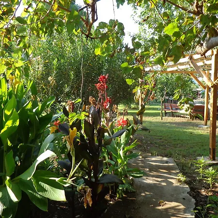 Billur Pension Gasthof
