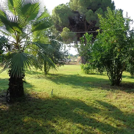 Gasthof Billur Pension Çıralı