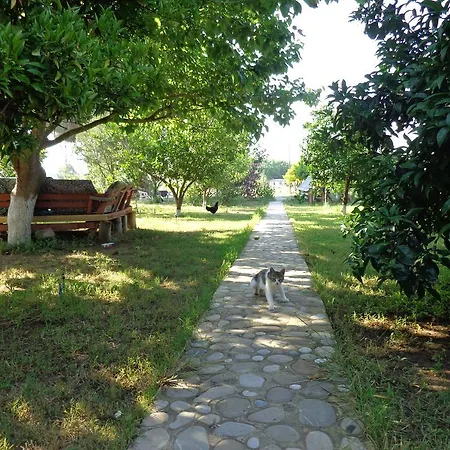 Gasthof Billur Pension Çıralı
