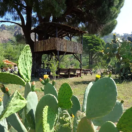 Gasthof Billur Pension
