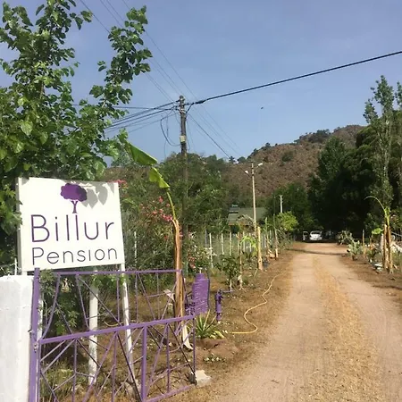 Gasthof Billur Pension