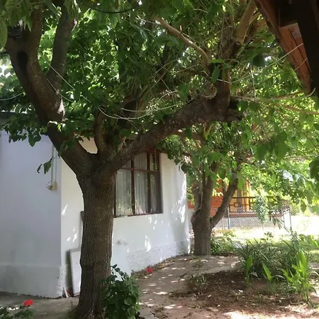 Gasthof Billur Pension Çıralı
