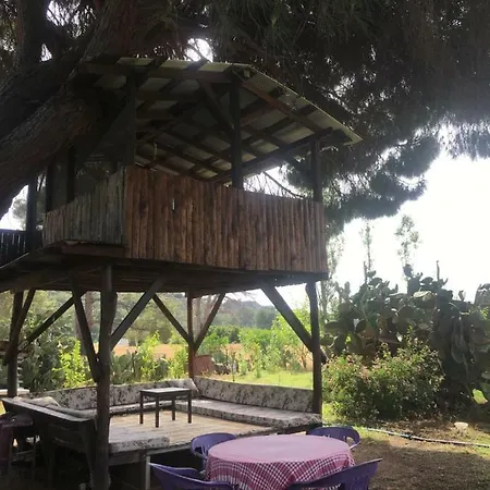 Billur Pension Gasthof *