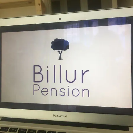 בית הארחה Billur Pension *