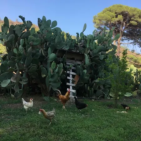 בית הארחה Billur Pension Çıralı
